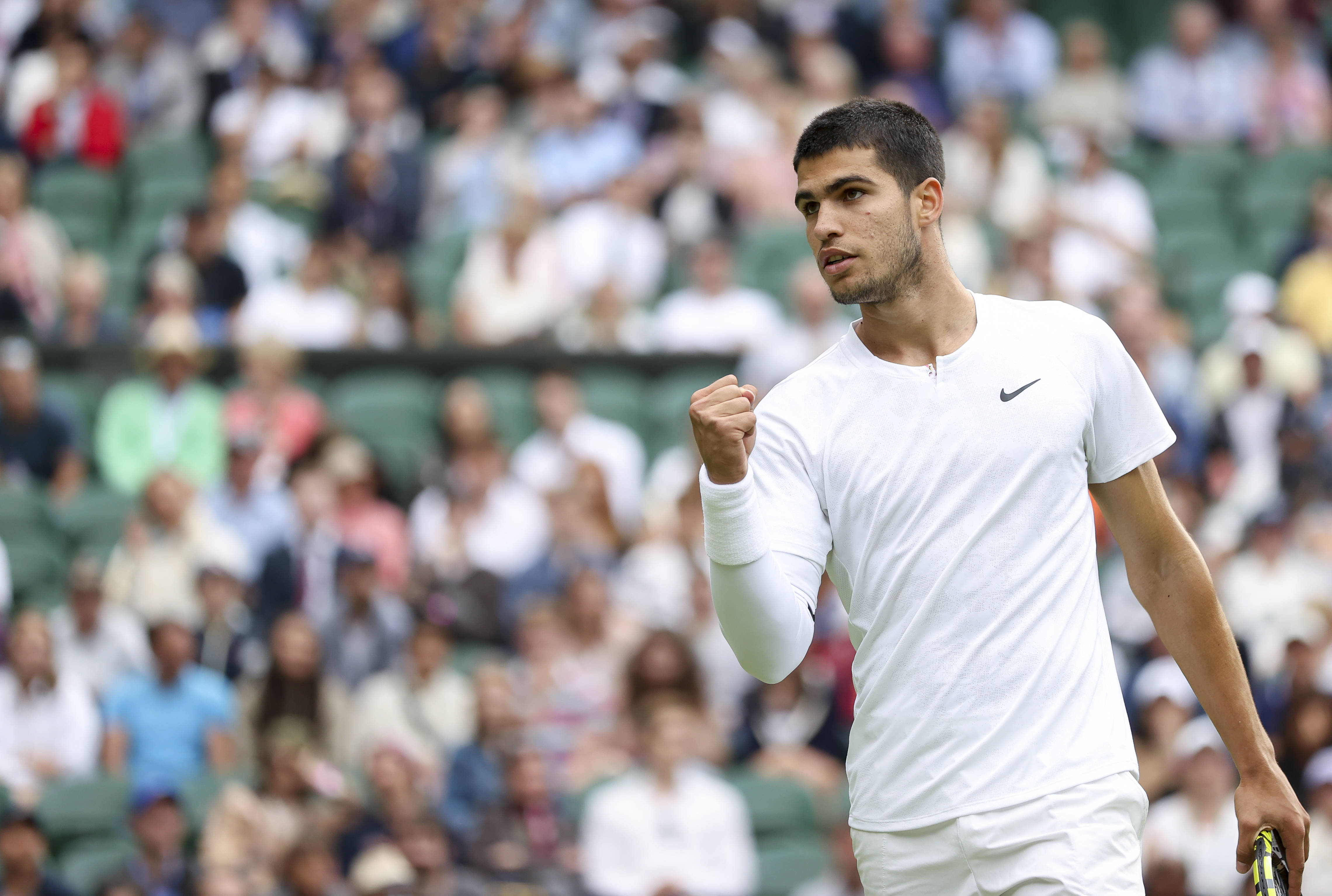 如果鹈鹕能 如果鹈鹕能