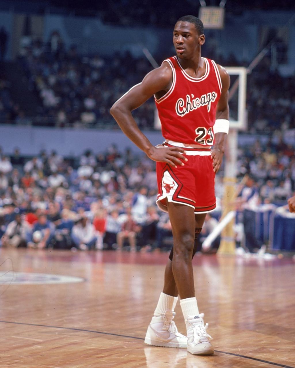 全红婵凭借 全红婵凭借