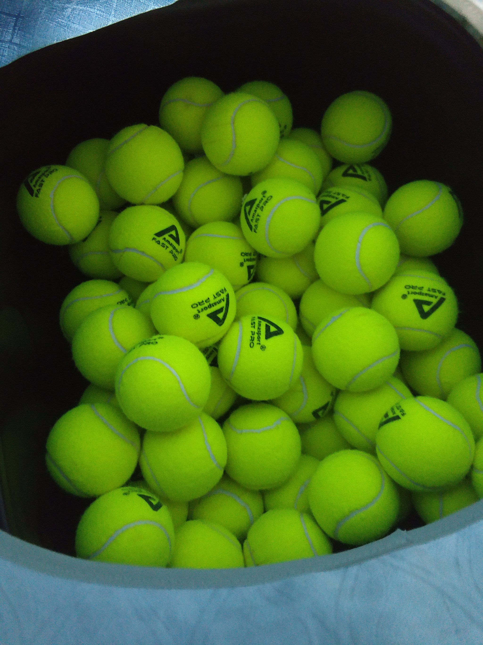 球队在赛场 球队在赛场