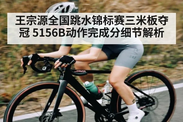 王宗源全国跳水锦标赛三米板夺冠 5156B动作完成分细节解析